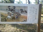 8588f604.JPG