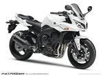 fz1.jpg