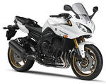 fz8-wh.jpg