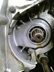 950e48d9.JPG