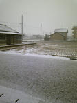 110303.JPG