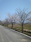 4b25b809.JPG