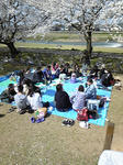 hanami_2.JPG