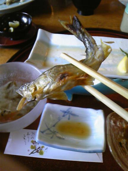 ayu04.JPG