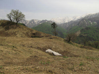 kotamawarabi1.jpg