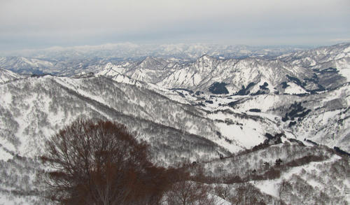 649.jpg