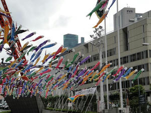 DSC01079_R.JPG