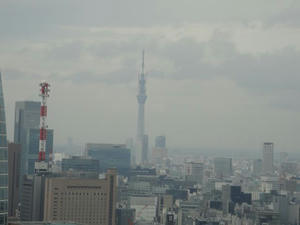DSC01082_R.JPG