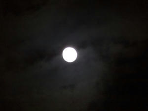 DSC00072_R.JPG