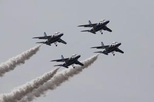 blue_001_R_R.JPG