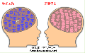塚忍の脳内