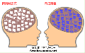 恋雨の脳内