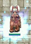 rine13.JPG