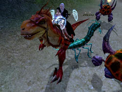 dino.jpg