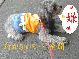 6a861574jpeg