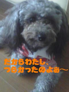 6723a797jpeg