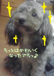 0751766e.jpeg