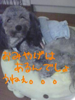 13b3230d.jpeg