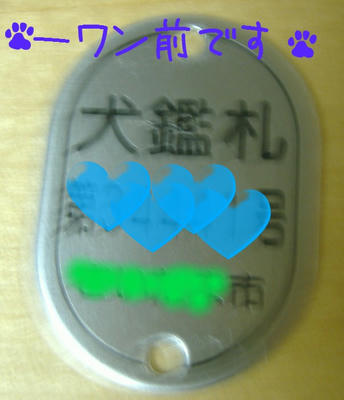 5f61bde0.jpeg