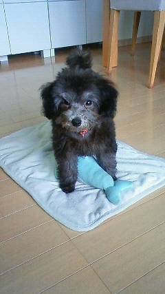 200901190921000.jpg