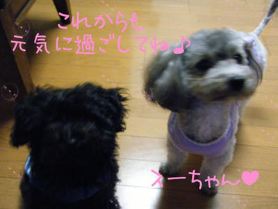 a595371d.jpeg