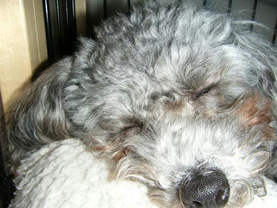oyasumi.jpg