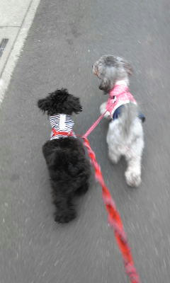 Image020.jpg