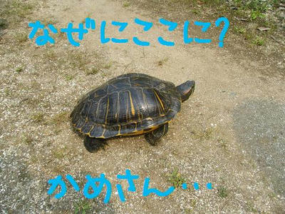 b56acbf1.jpeg