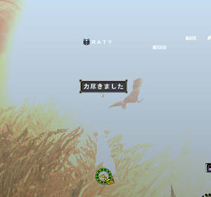 otu1.jpg