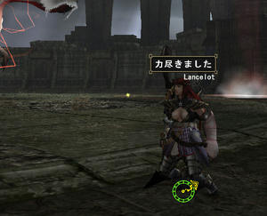 otu2.jpg