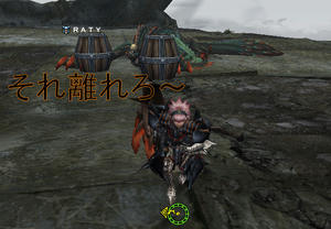 HANARERO.jpg