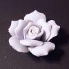 DSCF7413.jpg