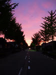 DSCF8051.jpg