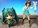 DSCF8363.jpg