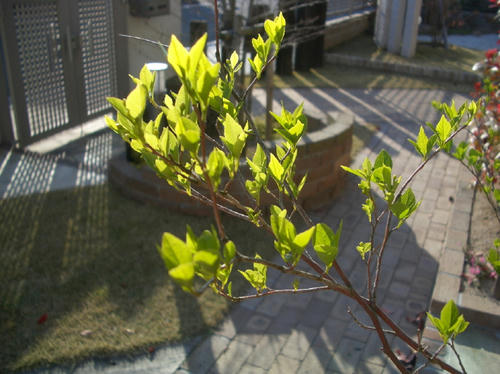 3c3e7587.jpg