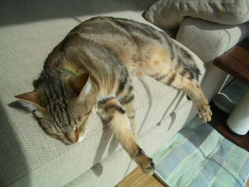 325d8f15.jpg