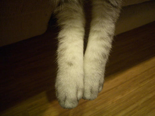 7df0c510.jpg
