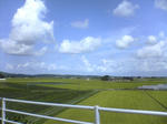 田舎