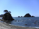 海岸