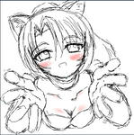 にゃんぽこ