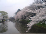 近くの神社のある公園