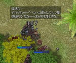 そして結局・・・
