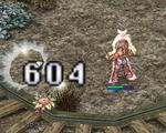 リスも順調ですよー