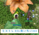 今回も････orz