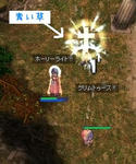 草刈も全力！