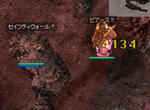 サラマンダー撮れなかった＞＜