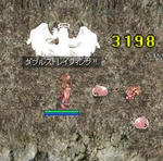 次はリスかな