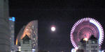 今夜は満月・・・