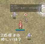 リヒの上マップですｙ