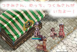|ω･)ちらり